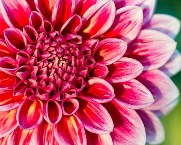 Bahá’í Blogging Challenge Day Three